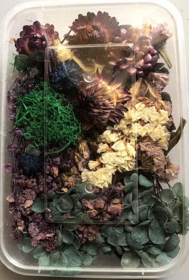 AAI Planet Dry Flowers
