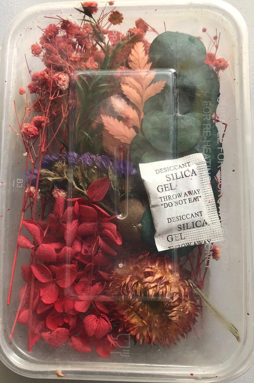 AAI Planet Red Green Dry Flower