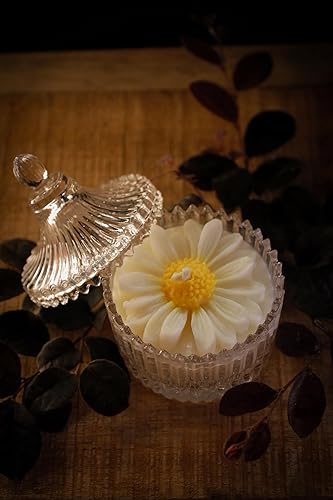 Aai Planet Sunflower Jar Magical Scented Candle